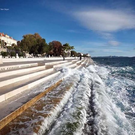 Reza Luxury Apartment Zadar Eksteriør bilde